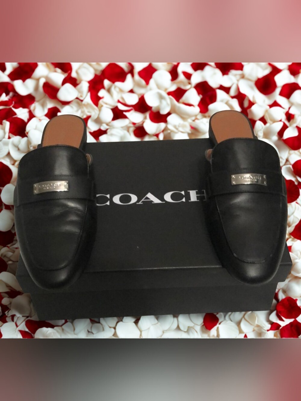 COACH Shea Womens Black Leather Slip-on Loafers Sz 10